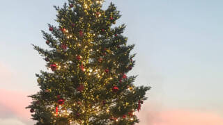 Thumbnail of post image 176